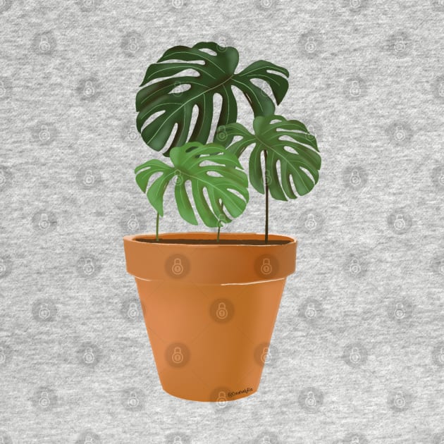 Monstera Indoor House Plant by CreativelyRis